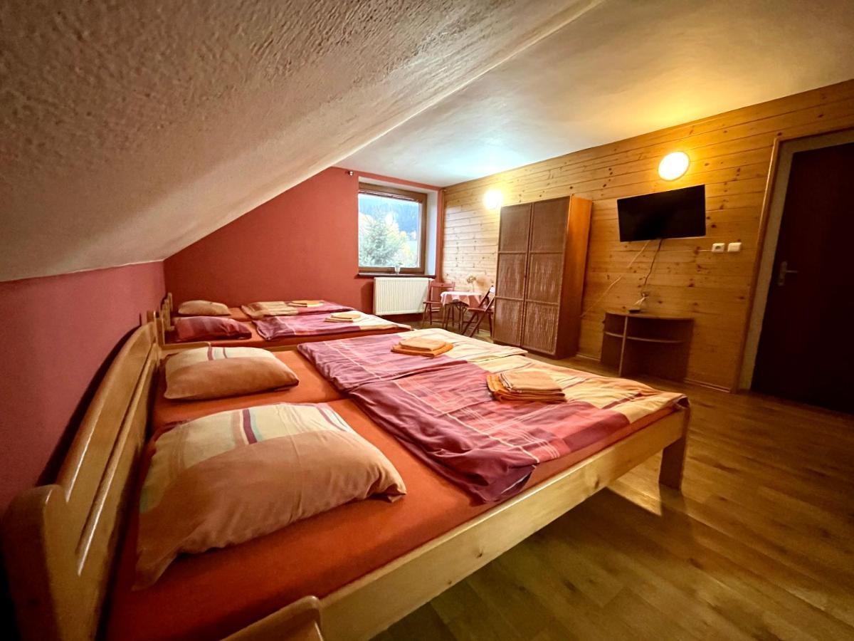 Penzion Horal Hotel Dolní Morava Екстериор снимка