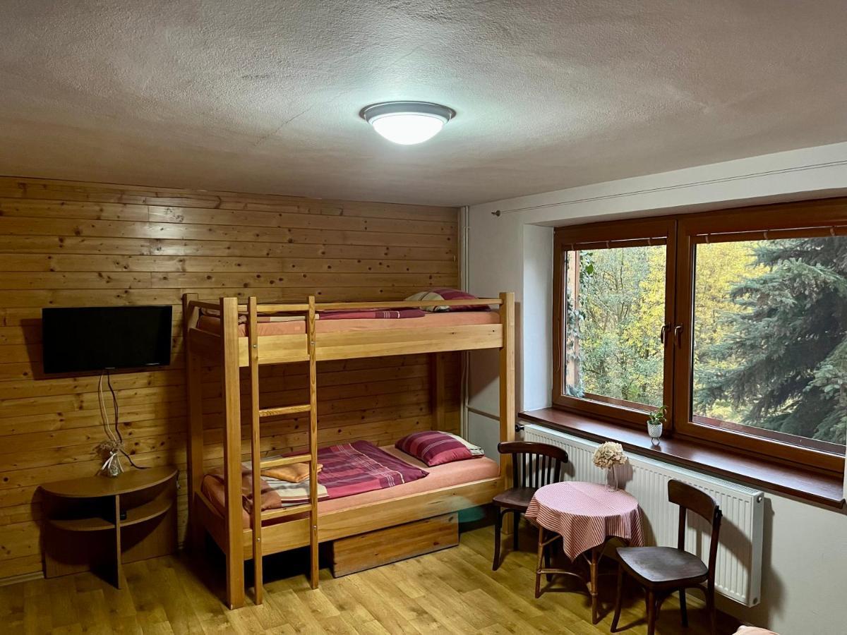 Penzion Horal Hotel Dolní Morava Екстериор снимка