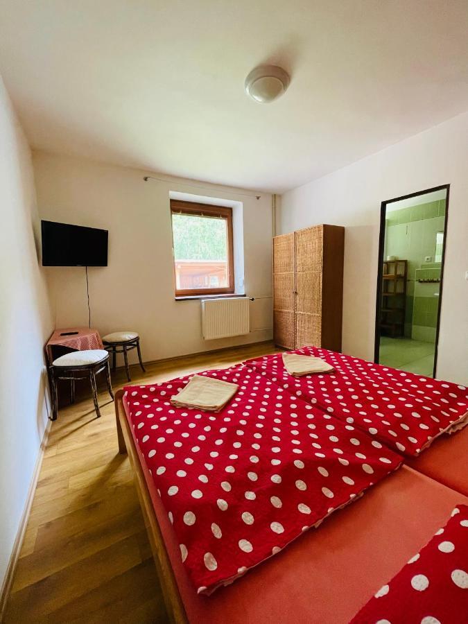 Penzion Horal Hotel Dolní Morava Екстериор снимка